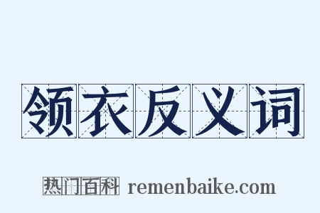 领衣反义词是什么意思的图片